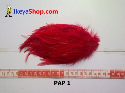 bulu PAD polos PAP 1   feather  large2